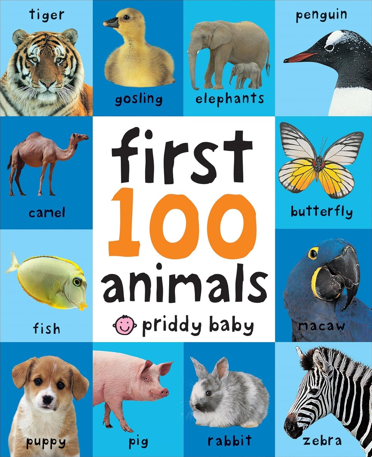 Baby's First 100 Animals book cover